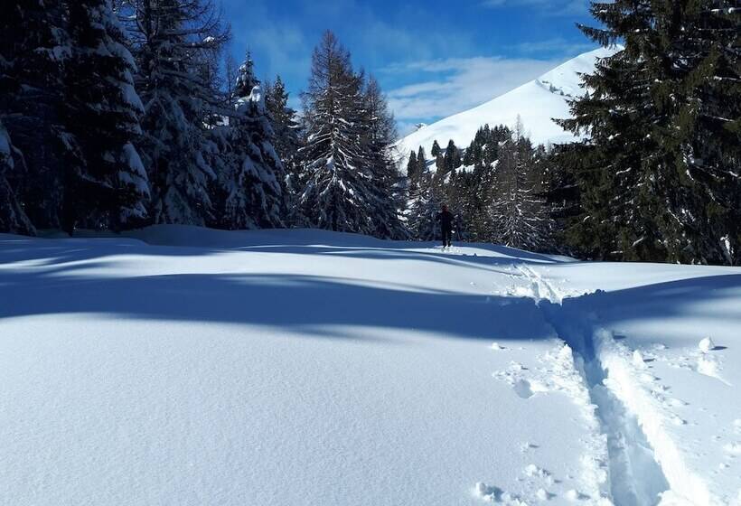 בית מלון כפרי Cristina