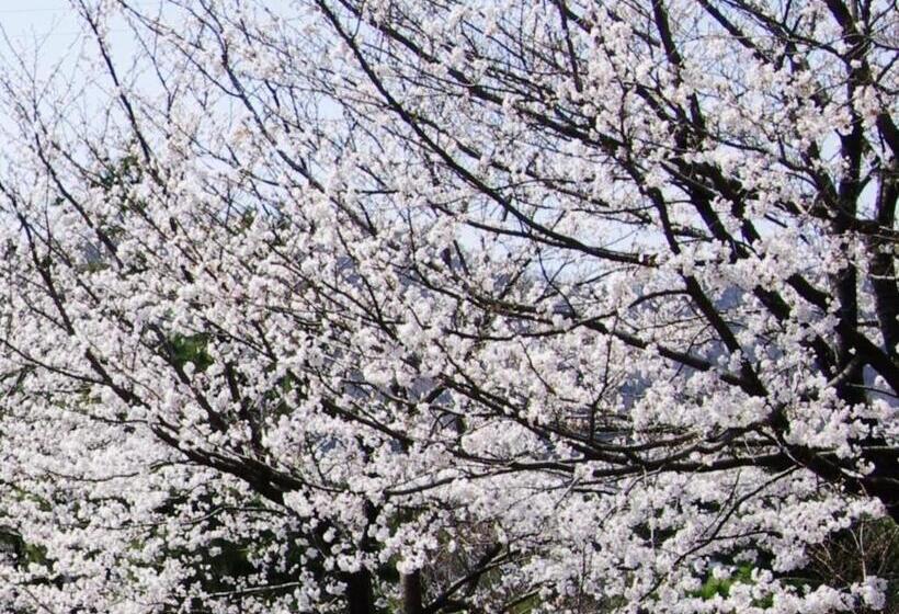 酒店 Kunitomi Annex