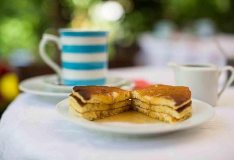 酒店 Pousada Da Alcobaça