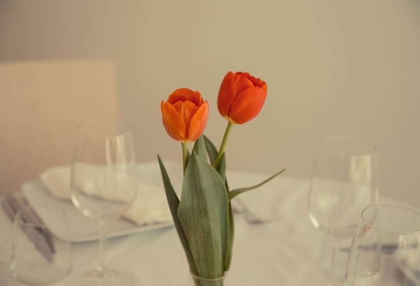 호텔 Ristorante Rinelli