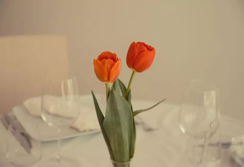 ホテル Ristorante Rinelli