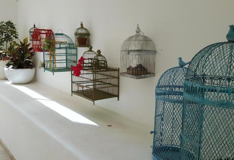 ホテル Catedral La Paz