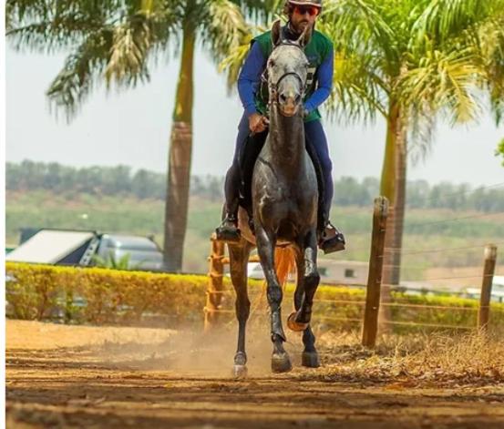 בית מלון כפרי Fazenda Dona Carolina