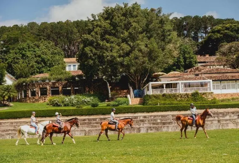 ホテル Fazenda Dona Carolina