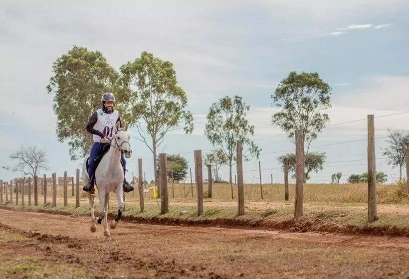 ホテル Fazenda Dona Carolina