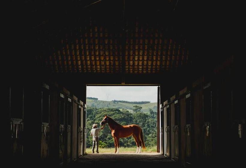 בית מלון כפרי Fazenda Dona Carolina