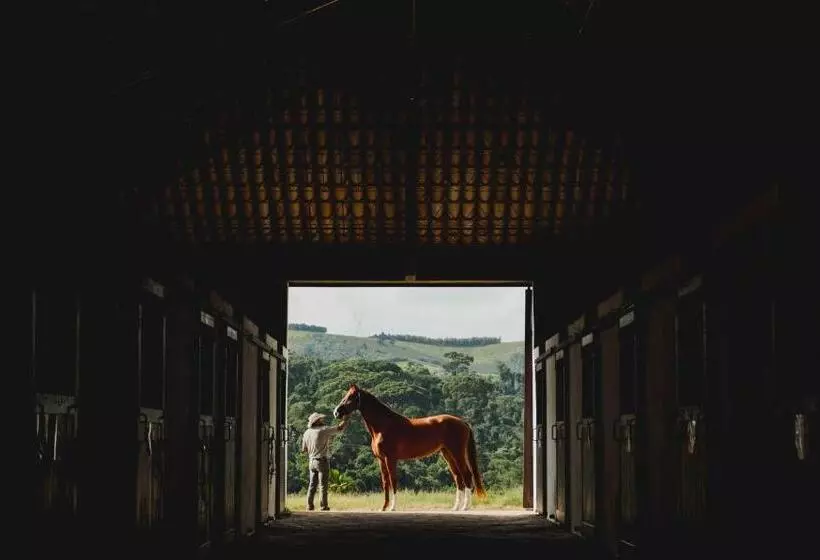 ホテル Fazenda Dona Carolina
