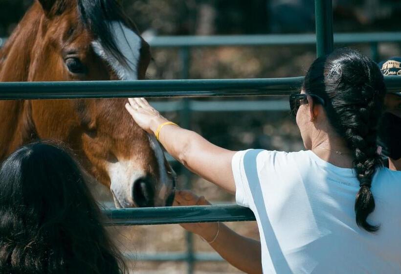 בית מלון כפרי Fazenda Dona Carolina