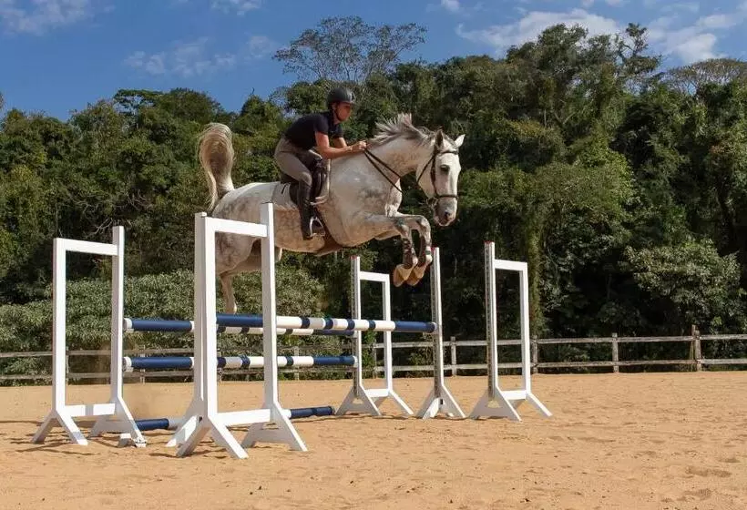 ホテル Fazenda Dona Carolina