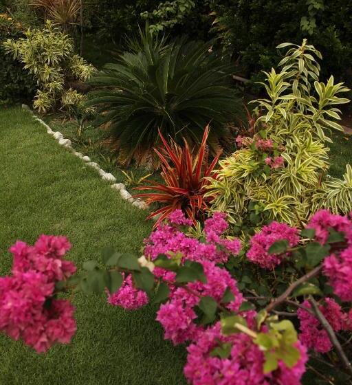 Hotel Jardim
