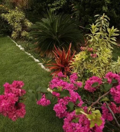 هتل Jardim