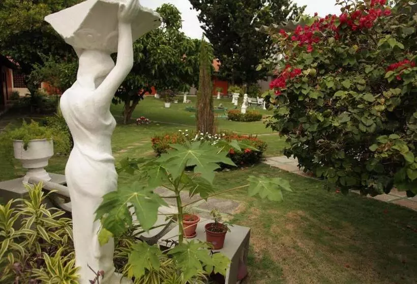 هتل Jardim