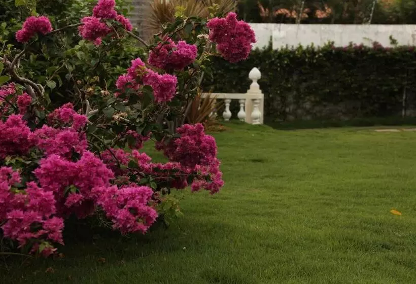 هتل Jardim