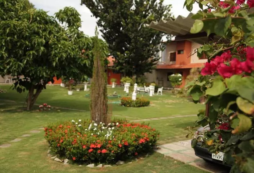 هتل Jardim