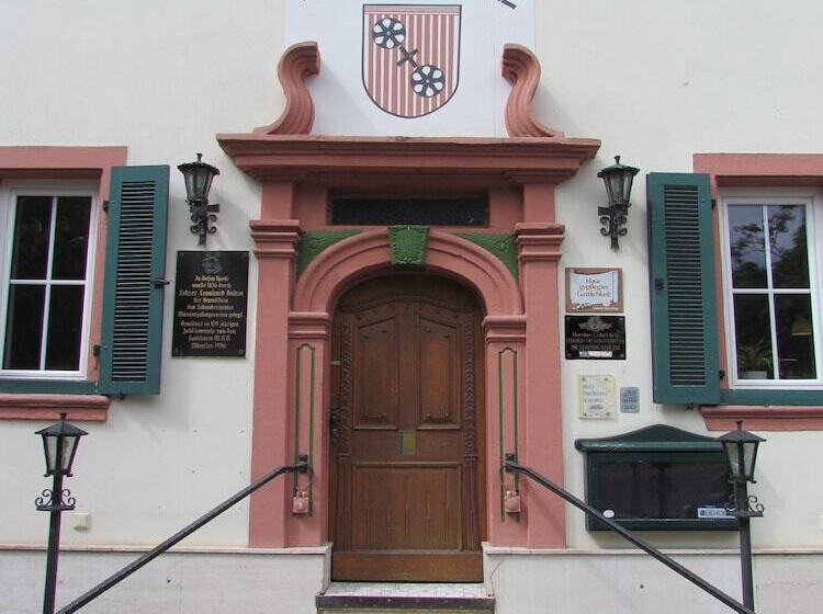 בית מלון כפרי Stadt Mainz