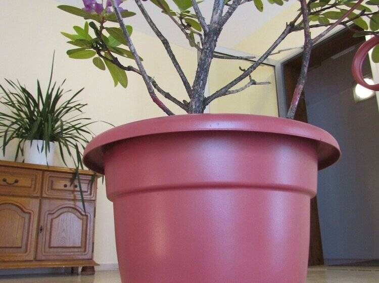 בית מלון כפרי Stadt Mainz