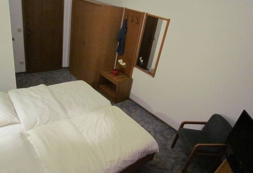 בית מלון כפרי Stadt Mainz