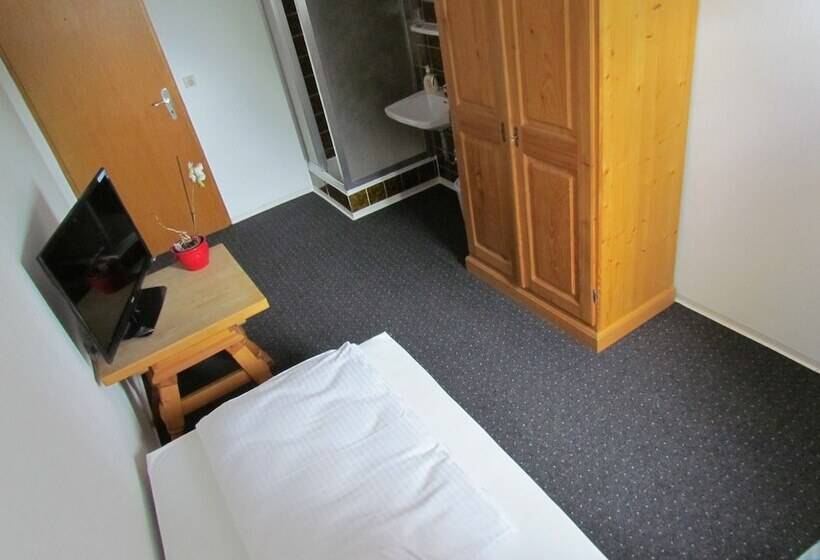 בית מלון כפרי Stadt Mainz