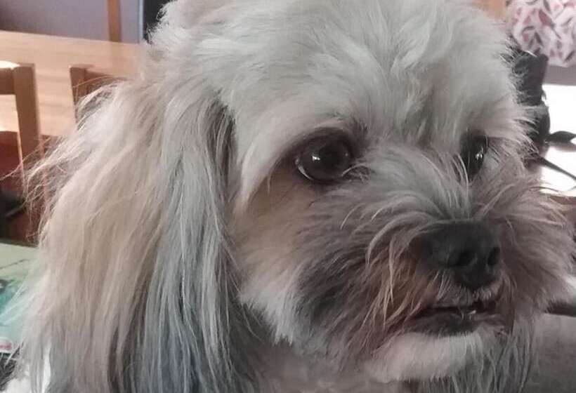 Мотель Avocado Motor Inn