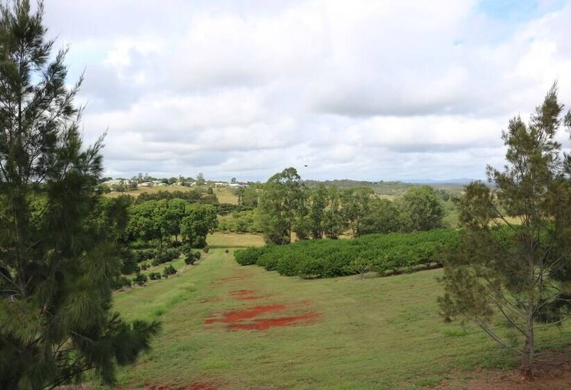 Мотель Avocado Motor Inn