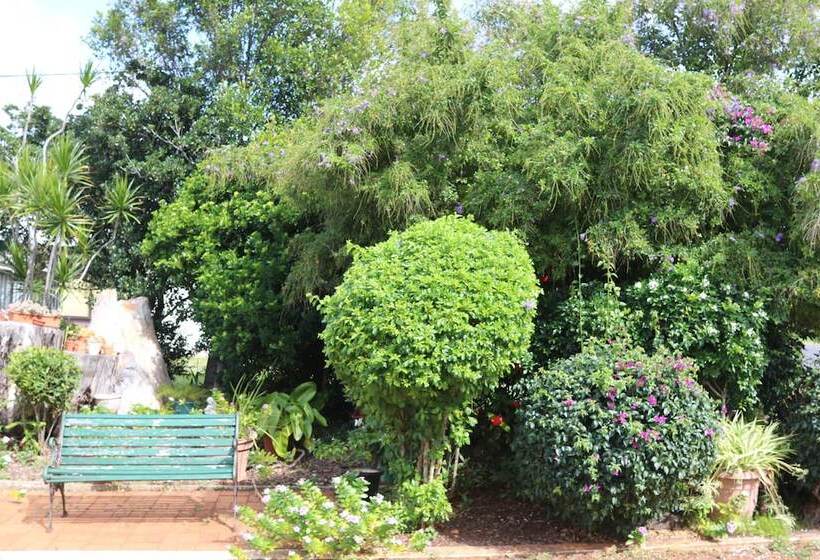 Мотель Avocado Motor Inn