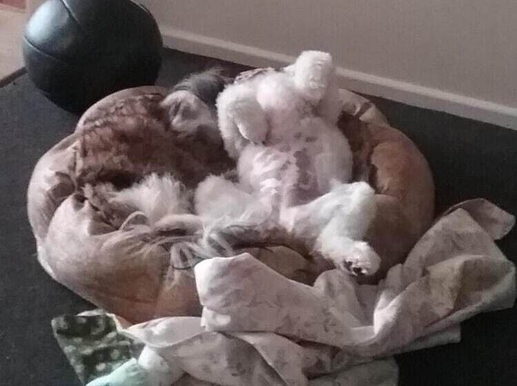 Мотель Avocado Motor Inn