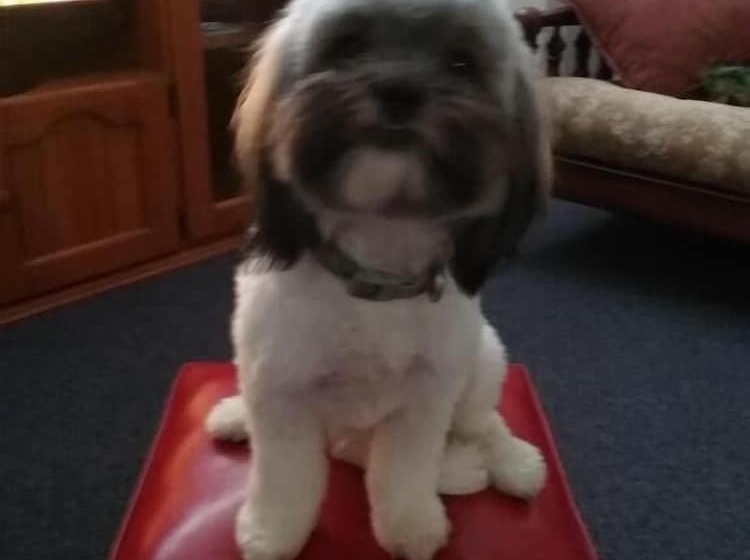 Мотель Avocado Motor Inn