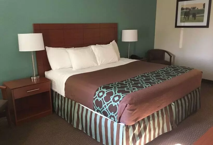 モーテル Surestay Hotel By Best Western Bowling Green North