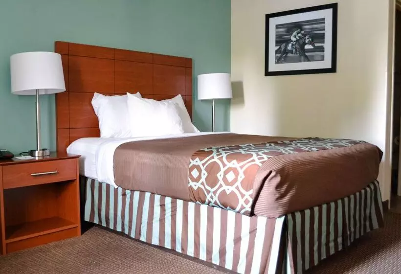 モーテル Surestay Hotel By Best Western Bowling Green North