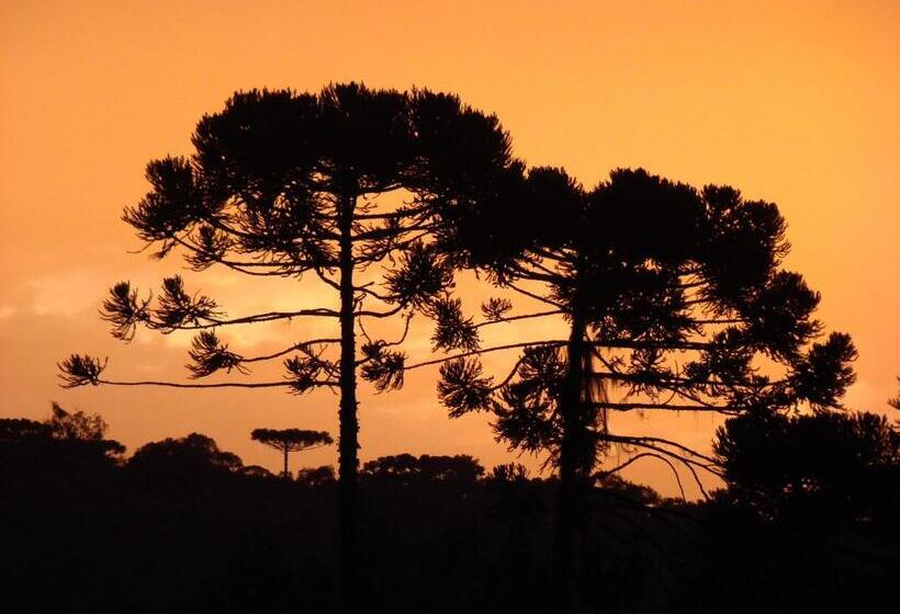 فندق Pousada Das Araucarias