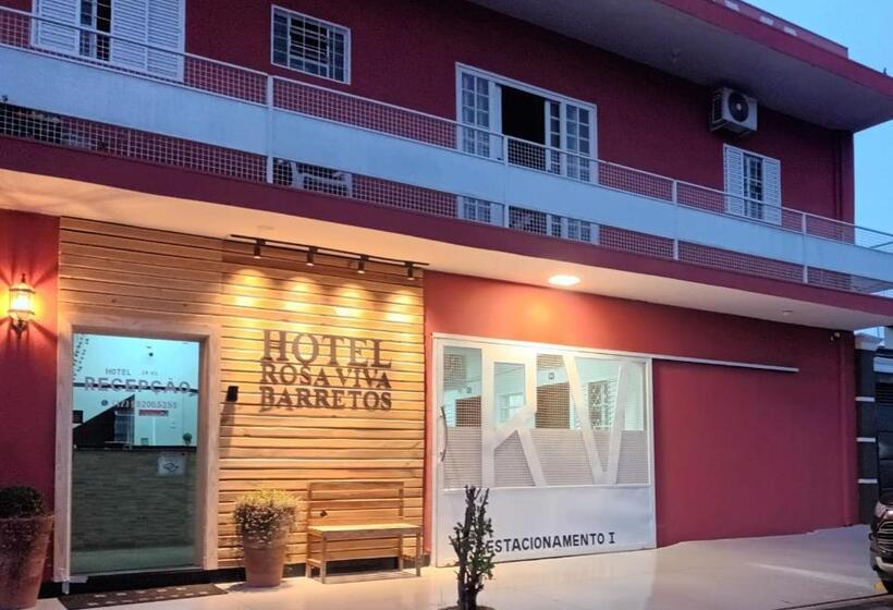Отель Rosa Viva