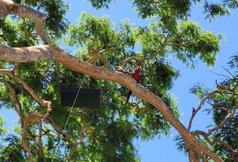 הוסטל Pousada Rancho Bonito