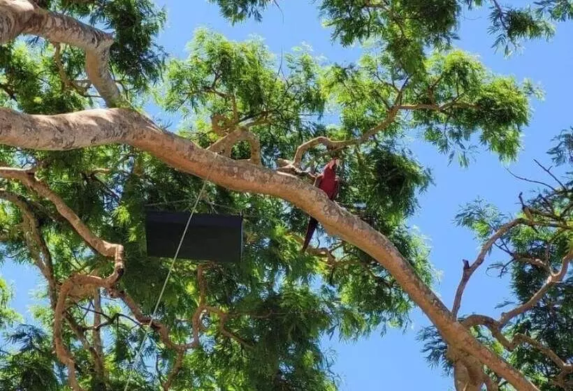 هاستل Pousada Rancho Bonito