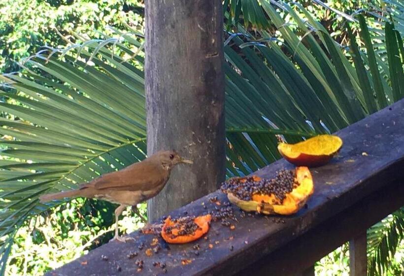 Bed and Breakfast Pousada Tãnara