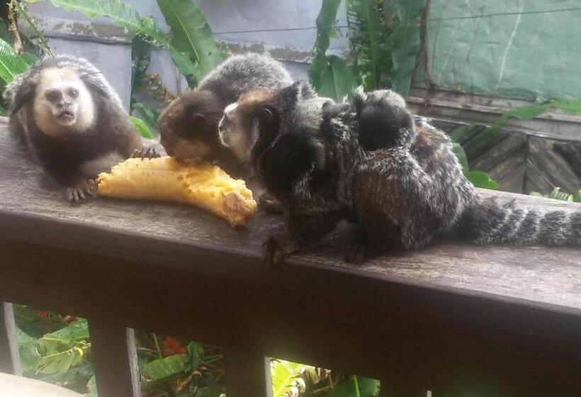 Bed and Breakfast Pousada Tãnara