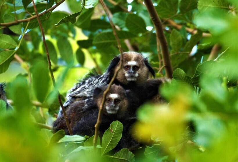 Bed and Breakfast Pousada Tãnara