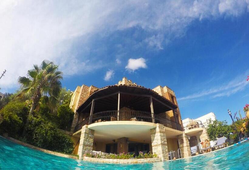 مبيت وإفطار Villa Cosy