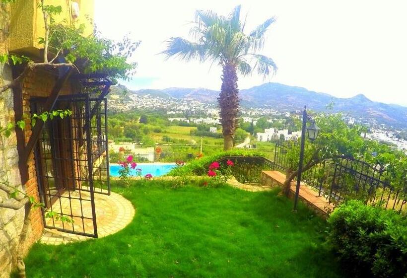 مبيت وإفطار Villa Cosy