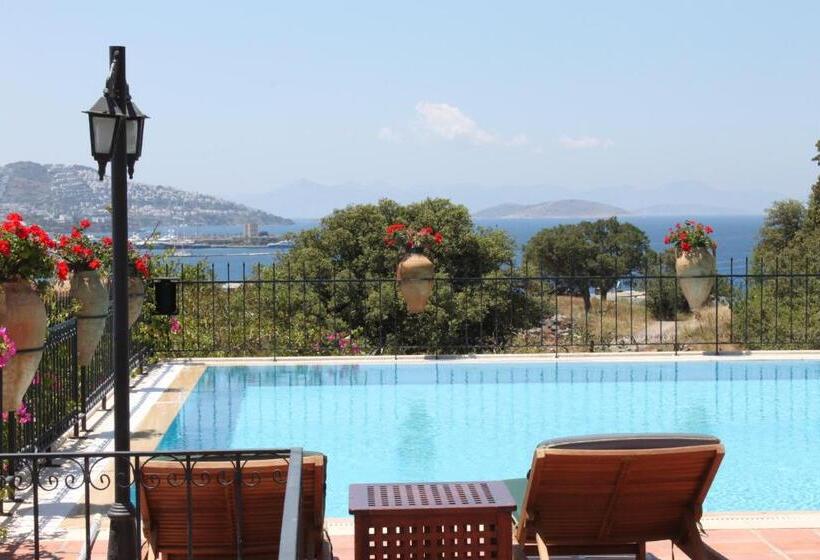 مبيت وإفطار Villa Cosy