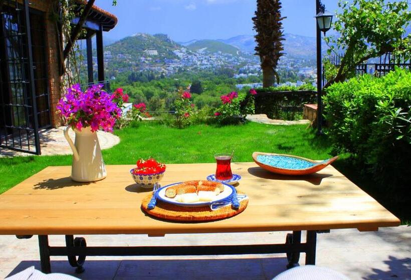 مبيت وإفطار Villa Cosy