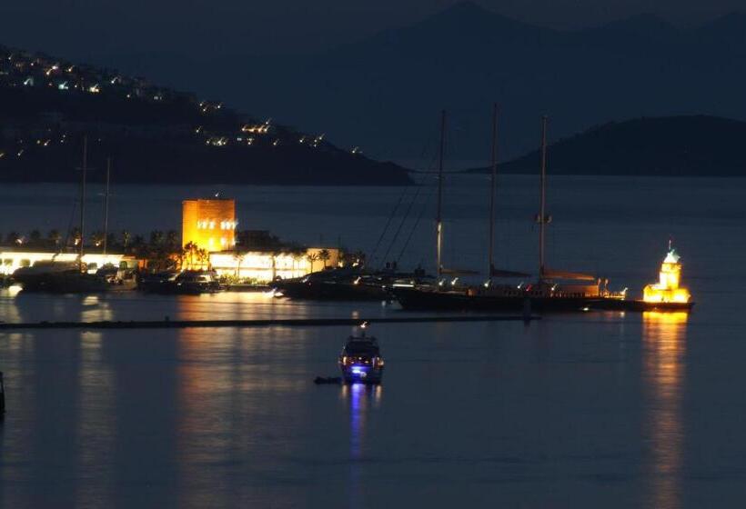 مبيت وإفطار Villa Cosy