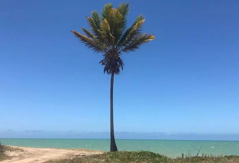 هتل Amendoeiras