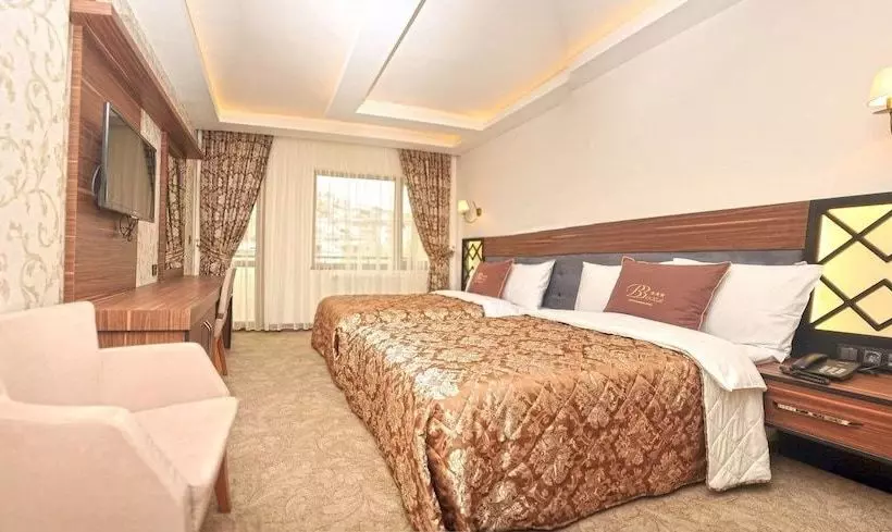 ホテル Buyuk Bayburt