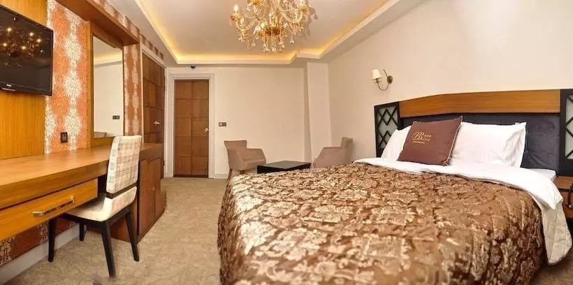 ホテル Buyuk Bayburt