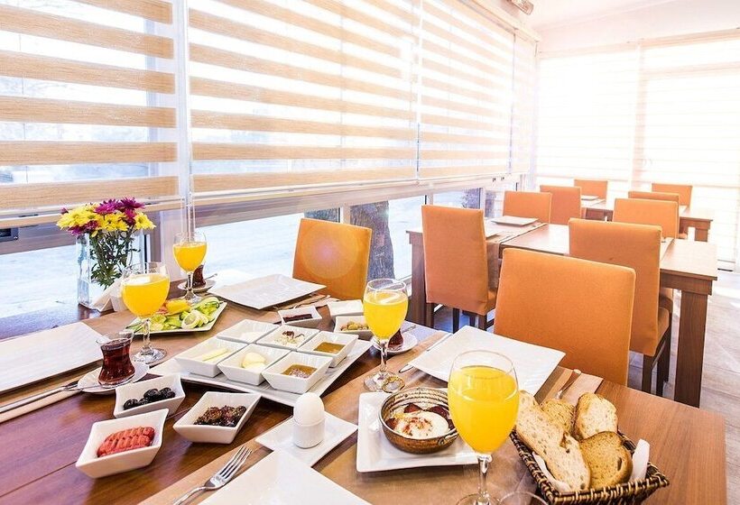 בית מלון כפרי Demir Suit