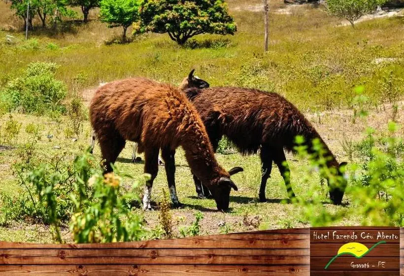 ホテル Fazenda Ceu Aberto