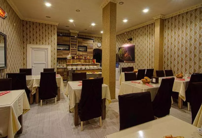 هتل Kars Konak