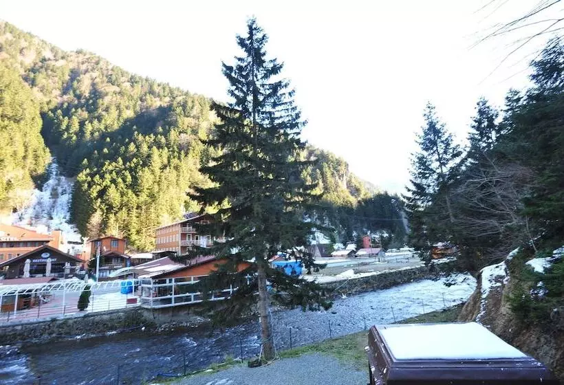 Cam Motel