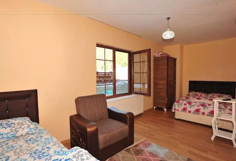 Cam Motel
