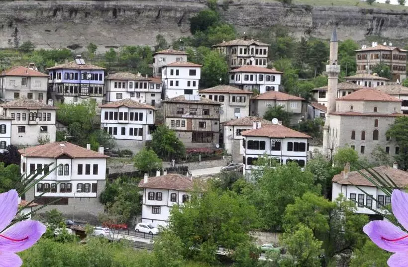 ホテル Arifbey Konak